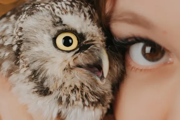 Lottomart Kazino Pagalba